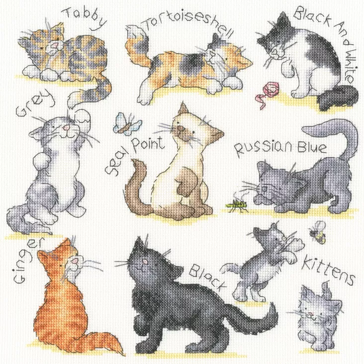 (image for) Meow!